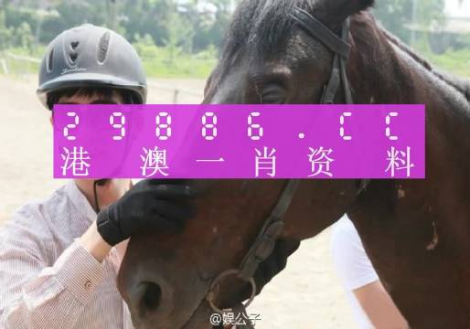 澳门今晚必中一肖一码，最新分析解释落实_粉丝版99.19.21