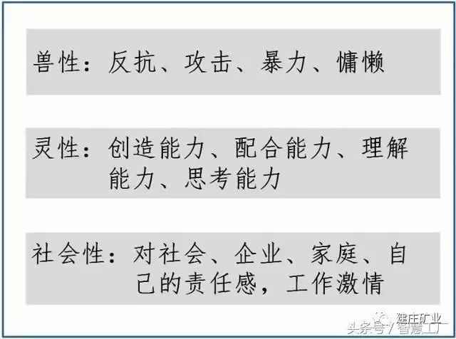 三肖必中特三肖三码官方下载，统计研究解释落实_精简版83.84.35